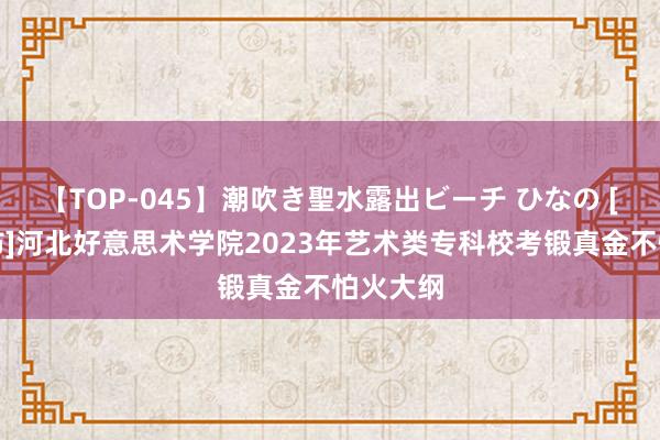 【TOP-045】潮吹き聖水露出ビーチ ひなの [官方发布]河北好意思术学院2023年艺术类专科校考锻真金不怕火大纲