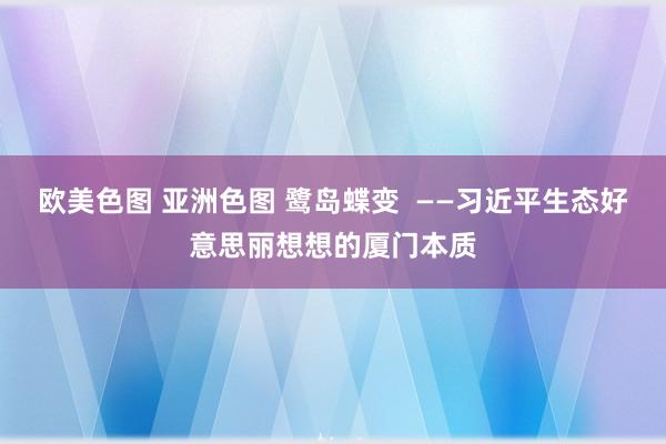 欧美色图 亚洲色图 鹭岛蝶变  ——习近平生态好意思丽想想的厦门本质